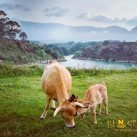 El Neru Casa de Campo Llanes